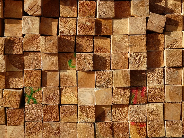 Quelle poutre en bois pour un IPN ?